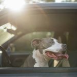 Onderweg naar een mooie bestemming